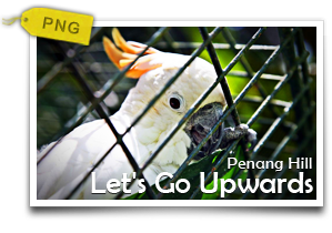 Let's Go Upwards To Penang Hill-Experience The Mellow Side Of Penang