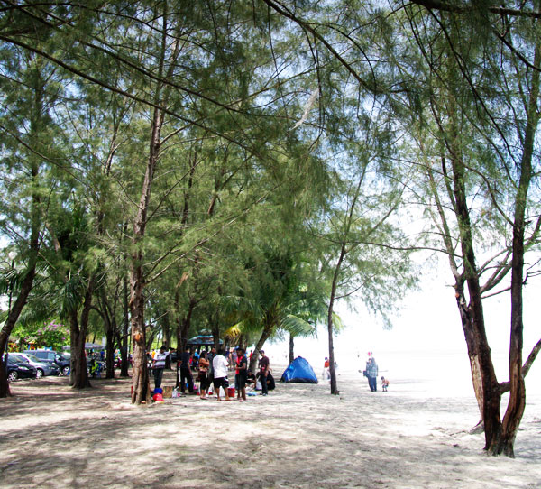 Bagan Lalang Beach 