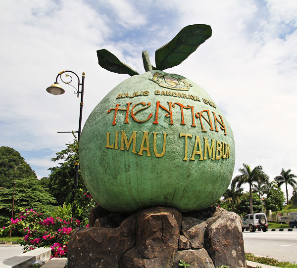 Pomelo Stalls