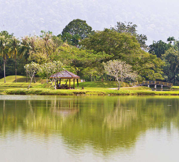 Taiping Lake Gardens