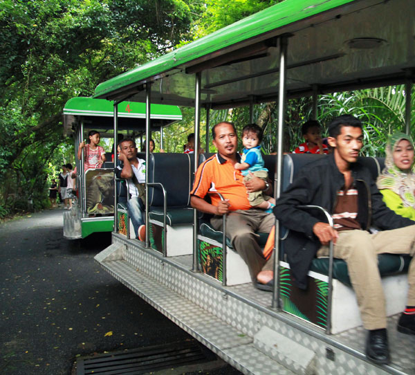 Taiping Zoo & Night Safari