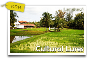 Langkawi Cultural Lures-Delve Into the Cultural and Historical Riches of Langkawi Island