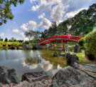 Japanese Garden