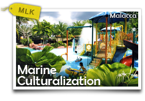 Malacca Marine Culturalization-Experience The Richness Of Ocean Culture In Malacca