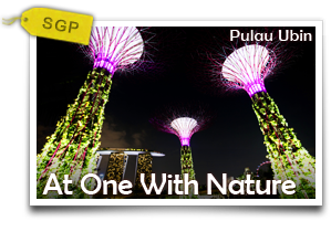 At One With Nature Pulau Ubin	-Outdoor Wonders In A Rustic Enclave		