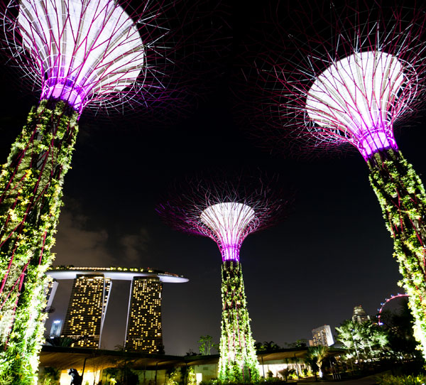 Gardens by the Bay