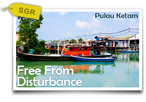 Free From Disturbance @Pulau Ketam-Experience the Serene Beauty of Pulau Ketam