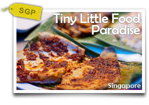 Tiny Little Food Paradise-Eat Like A Singaporean And Explore The Cultural Roots