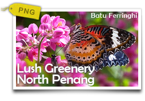 Lush Greenery North Penang-Exploring Signature Attractions around Batu Ferringhi and Teluk Bahang