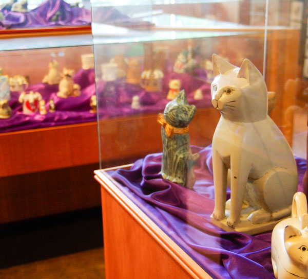 Cat Museum