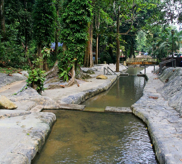 Bukit Mertajam Recreational Forest Park