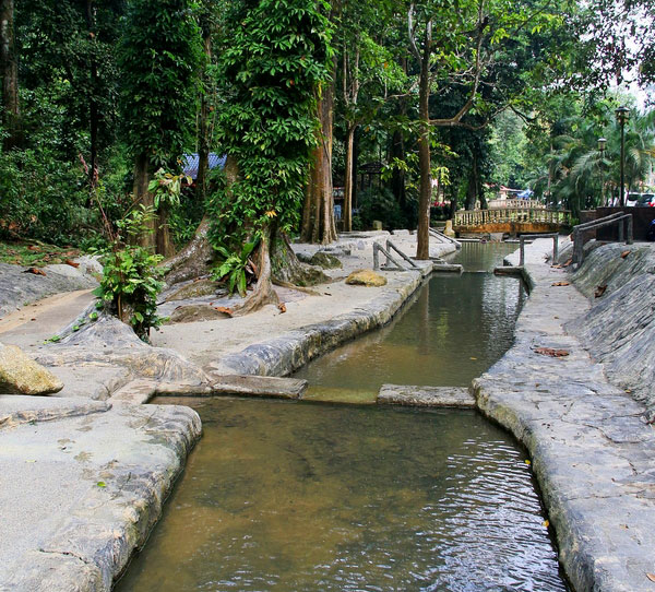 Bukit Mertajam Recreational Forest Park