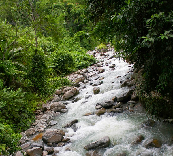 Poring Hot Spring