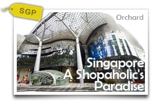 Singapore A Shopaholic's Paradise-Shop till You Drop and More