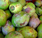 Anba Coconut