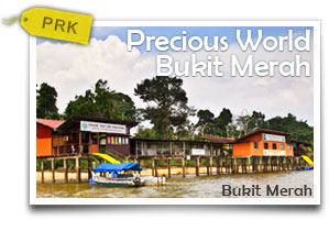 Precious World Bukit Merah-Light and Easy. A Small Town's Beauty.