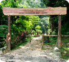 Bukit Gasing Forest Park