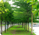 Taman Aman