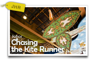 Chasing the Kite Runner-Discovering Gorgeous Beaches, Amazing Birds and Glorious Kites! 
