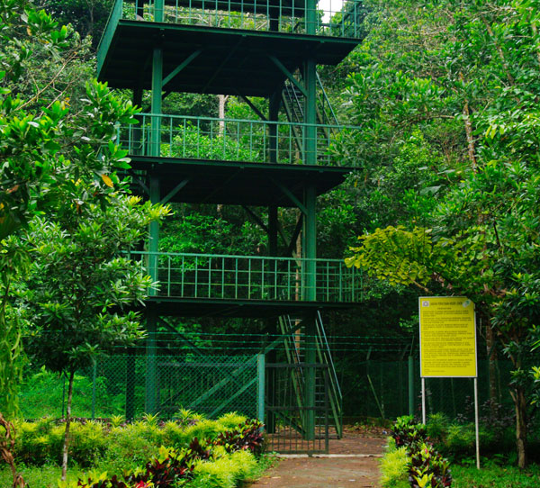 Panti Bird Sanctuary (Suaka Burung Panti)