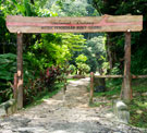 Bukit Gasing Forest Park