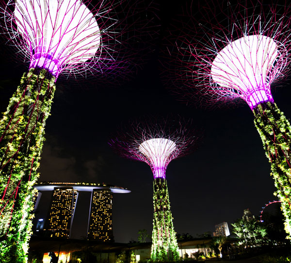 Gardens by the Bay