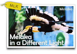 Melaka in a Different Light-The Nature and Modernist Art of Historical City
