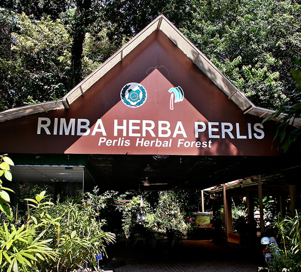 Rimba Herba Perlis