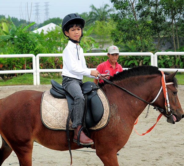 Denai Alam Riding & Recreation Club (DARC)