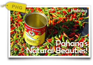Pahang's Natural Beauties! -Road Tripping to Mother Nature's Beat at Raub Town