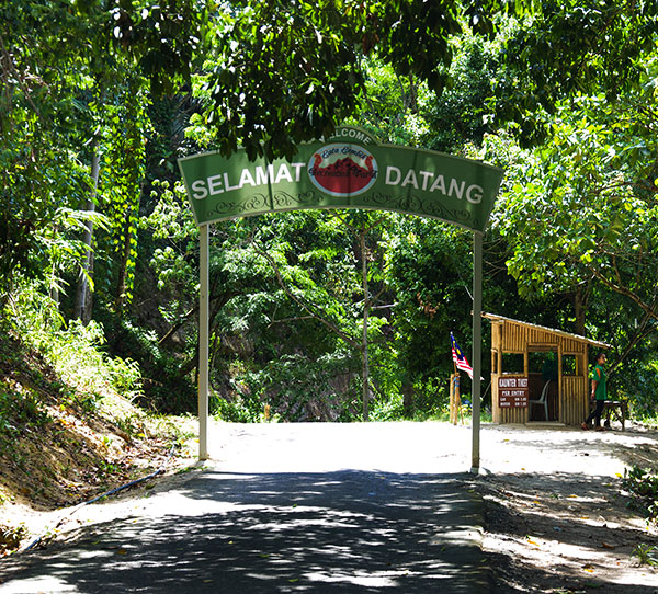 Hutan Lipur Lata Lembik