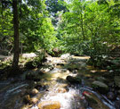 Hutan Lipur Lata Jarum