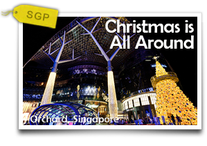 Christmas is All Around-The Ultimate Singaporean Christmas and Shopping Experience!