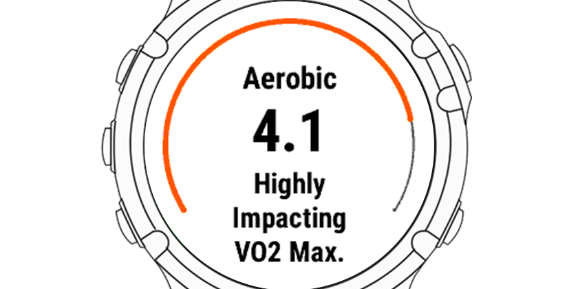 Aerobic Training Effect